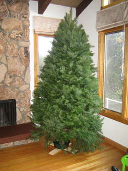 Image 2006-12-10-IXY50-3722.jpg