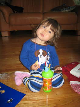 Image 2006-12-25-IXY50-3814.jpg