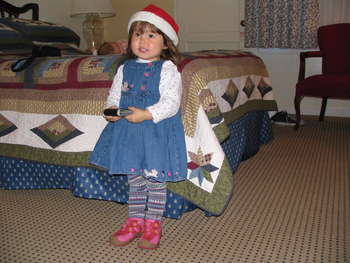 Image 2006-12-28-S1-IS-4340.jpg