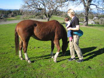 Image 2006-02-05-IXY50-2315.jpg