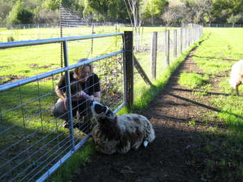 Image 2006-02-05-IXY50-2317.jpg