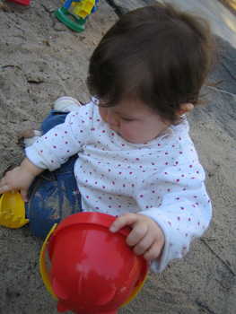 Image 2006-02-08-IXY50-2342.jpg