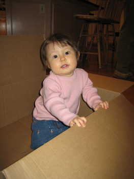 Image 2006-02-16-IXY50-2381.jpg