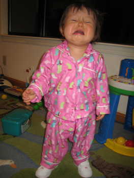 Image 2006-02-17-IXY50-2393.jpg