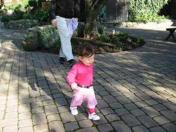 Image 2006-01-20-IXY300-0034.jpg