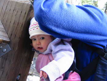 Image 2006-01-22-IXY300-0011.jpg