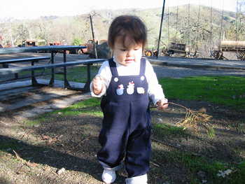 Image 2006-01-23-IXY300-0091.jpg