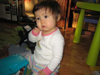 Image 2006-01-06-IXY50-2230.jpg