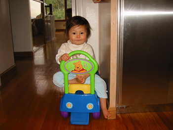 Image 2006-01-18-IXY300-0042.jpg