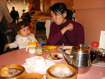 Image 2006-01-18-IXY300-0073.jpg