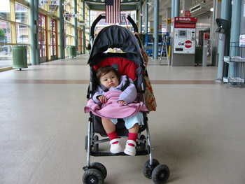 Image 2006-01-18-IXY300-0074.jpg