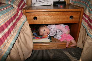 Image 2006-01-21-20D-2481.jpg