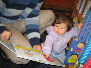 Image 2006-01-29-IXY50-2292.jpg