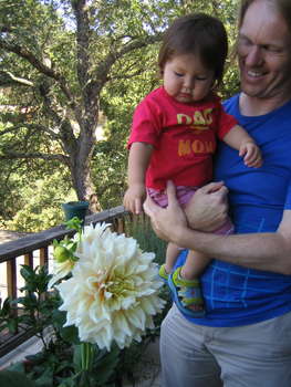 Image 2006-07-02-IXY50-3017.jpg