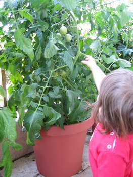 Image 2006-07-02-IXY50-3023.jpg