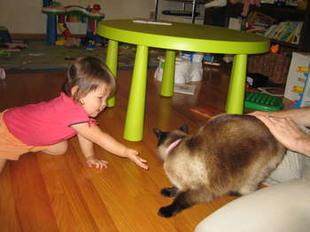Image 2006-07-03-IXY50-3033.jpg