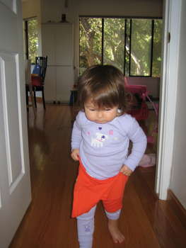 Image 2006-07-29-IXY50-3085.jpg