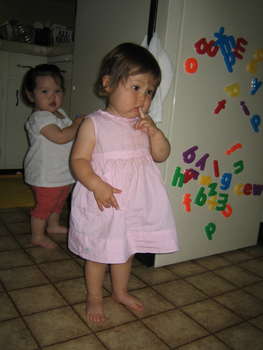 Image 2006-06-03-IXY50-2900.jpg