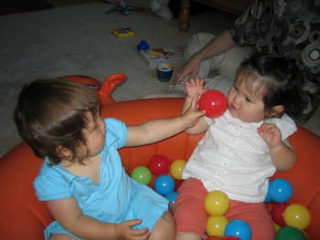 Image 2006-06-03-IXY50-2901.jpg