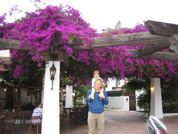 Image 2006-06-07-IXY50-2951.jpg