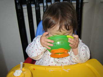 Image 2006-03-01-IXY50-2445.jpg