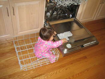 Image 2006-03-06-IXY50-2469.jpg