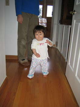 Image 2006-03-07-IXY50-2472.jpg