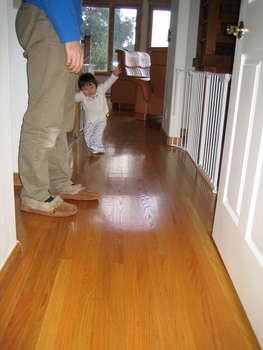 Image 2006-03-07-IXY50-2473.jpg