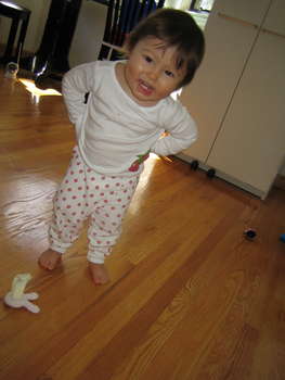 Image 2006-03-18-IXY50-2522.jpg