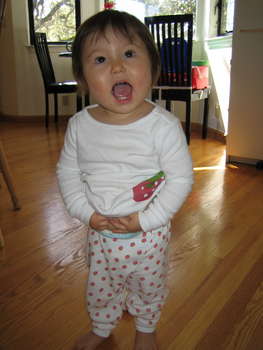 Image 2006-03-18-IXY50-2524.jpg