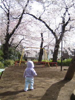 Image 2006-03-28-IXY50-2543.jpg