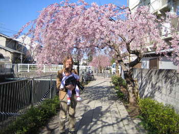 Image 2006-03-30-IXY50-2555.jpg