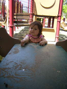 Image 2006-05-03-IXY50-2747.jpg