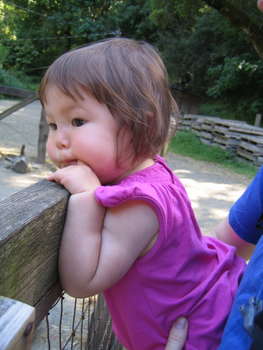 Image 2006-05-07-IXY50-2771.jpg