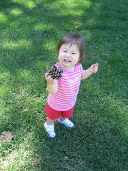 Image 2006-05-15-IXY50-2806.jpg