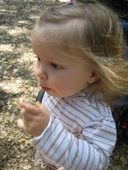 Image 2006-05-17-IXY50-2816.jpg
