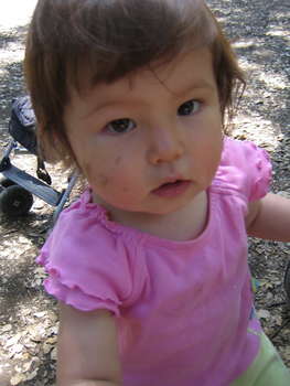 Image 2006-05-17-IXY50-2817.jpg