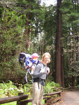 Image 2006-05-22-IXY50-2832.jpg