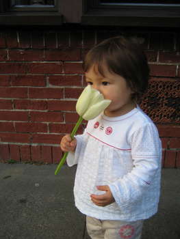 Image 2006-05-22-IXY50-2854.jpg