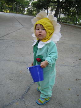 Image 2006-05-24-IXY50-2880.jpg