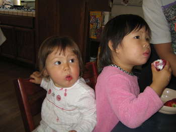 Image 2006-05-26-IXY50-2882.jpg