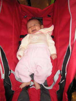Image 2006-11-05-IXY50-3524.jpg