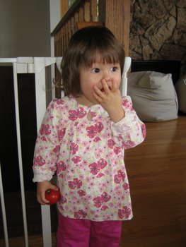 Image 2006-11-06-IXY50-3529.jpg