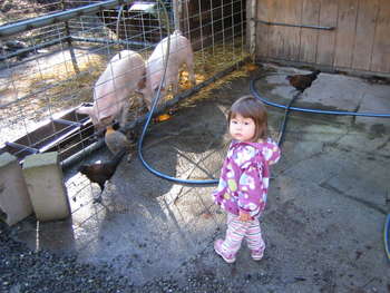 Image 2006-11-25-IXY50-3638.jpg