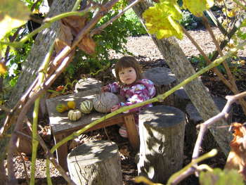 Image 2006-11-25-IXY50-3643.jpg