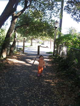 Image 2006-11-25-IXY800-0694.jpg