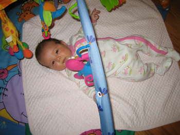 Image 2006-10-08-IXY50-3390.jpg