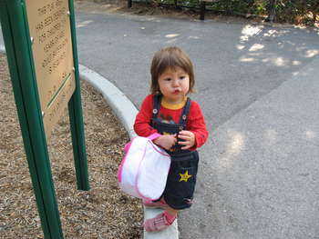 Image 2006-10-12-IXY800-0613.jpg