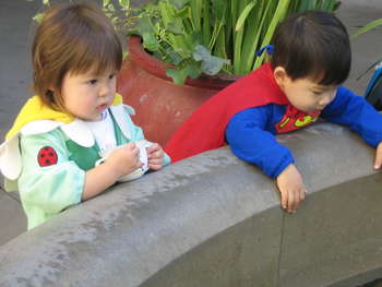 Image 2006-10-31-IXY50-3503.jpg