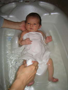 Image 2006-09-02-IXY50-3268.jpg